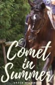 Book cover of Comet in Summer