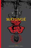 Book cover of The Witch of Matonge