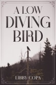 Book cover of A Low Diving Bird