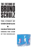 Book cover of The Fictions of Bruno Schulz: The Street of Crocodiles and Sanatorium under the Sign of the Hourglass