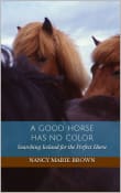 Book cover of A Good Horse Has No Color: Searching Iceland for the Perfect Horse