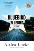 Book cover of Bluebird, Bluebird