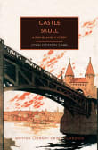 Book cover of Castle Skull