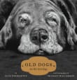 Book cover of Old Dogs: Are the Best Dogs
