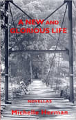 Book cover of A New and Glorious Life