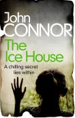 Book cover of The Ice House