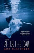 Book cover of After the Dam