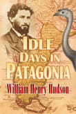 Book cover of Idle Days in Patagonia