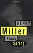 Book cover of Black Spring