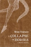 Book cover of A Collapse of Horses