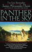 Book cover of Panther in the Sky