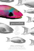 Book cover of Parrotfish