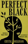 Book cover of Perfect Black