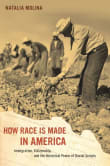 Book cover of How Race Is Made in America: Immigration, Citizenship, and the Historical Power of Racial Scripts