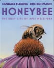 Book cover of Honeybee: The Busy Life of Apis Mellifera