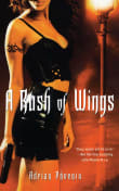 Book cover of A Rush of Wings