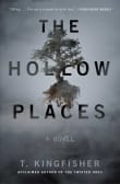 Book cover of The Hollow Places