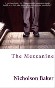 Book cover of The Mezzanine