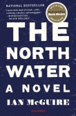 Book cover of The North Water