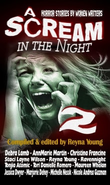 Book cover of A Scream in the Night 2