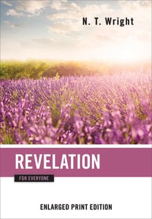 Book cover of Revelation for Everyone