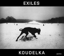 Book cover of Exiles