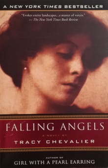 Book cover of Falling Angels