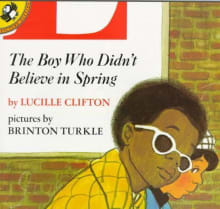 Book cover of The Boy Who Didn't Believe in Spring