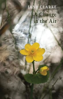 Book cover of A Change in the Air