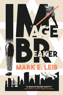 Book cover of Image Breaker