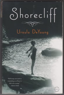 Book cover of Shorecliff