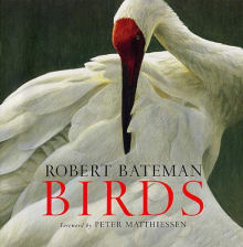 Book cover of Birds