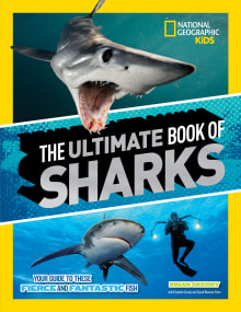 Book cover of The Ultimate Book of Sharks