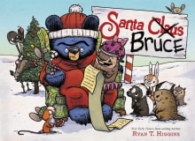 Book cover of Santa Bruce