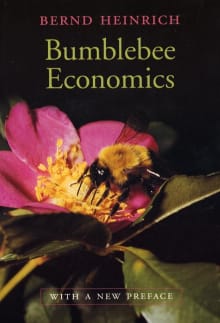 Book cover of Bumblebee Economics