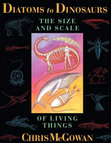 Book cover of Diatoms to Dinosaurs: The Size And Scale Of Living Things