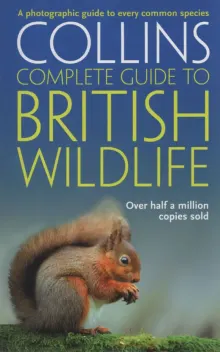 Book cover of British Wildlife: A Photographic Guide to Every Common Species