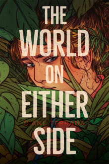 Book cover of The World on Either Side