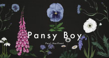 Book cover of Pansy Boy