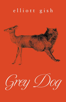 Book cover of Grey Dog