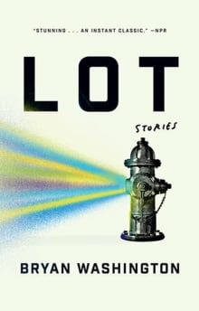 Book cover of Lot: Stories