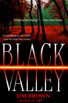 Book cover of Black Valley