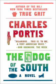 Book cover of The Dog of the South