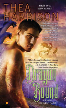 Book cover of Dragon Bound