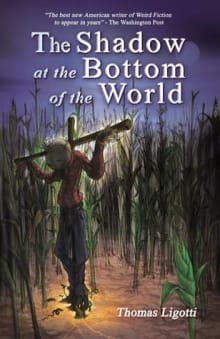 Book cover of The Shadow at The Bottom of The World