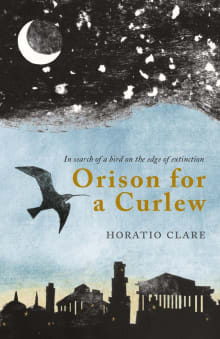 Book cover of Orison for a Curlew: In Search for a Bird on the Edge of Extinction