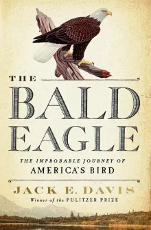 Book cover of The Bald Eagle: The Improbable Journey of  America's Bird