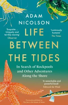 Book cover of Life Between the Tides