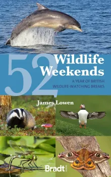 Book cover of 52 Wildlife Weekends: A Year of British Wildlife-Watching Breaks