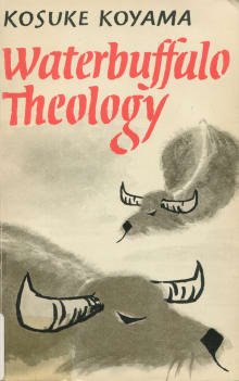 Book cover of Water Buffalo Theology